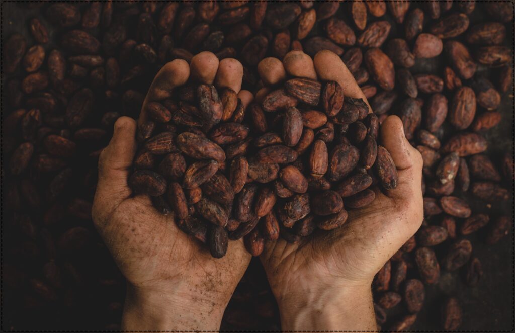 コーヒー豆をすくう両手