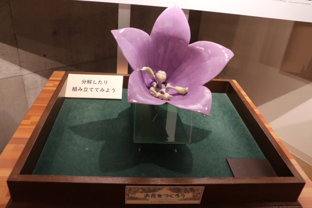 紫の花の模型